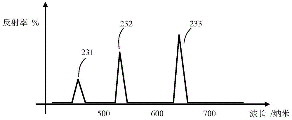 Display screen and display apparatus