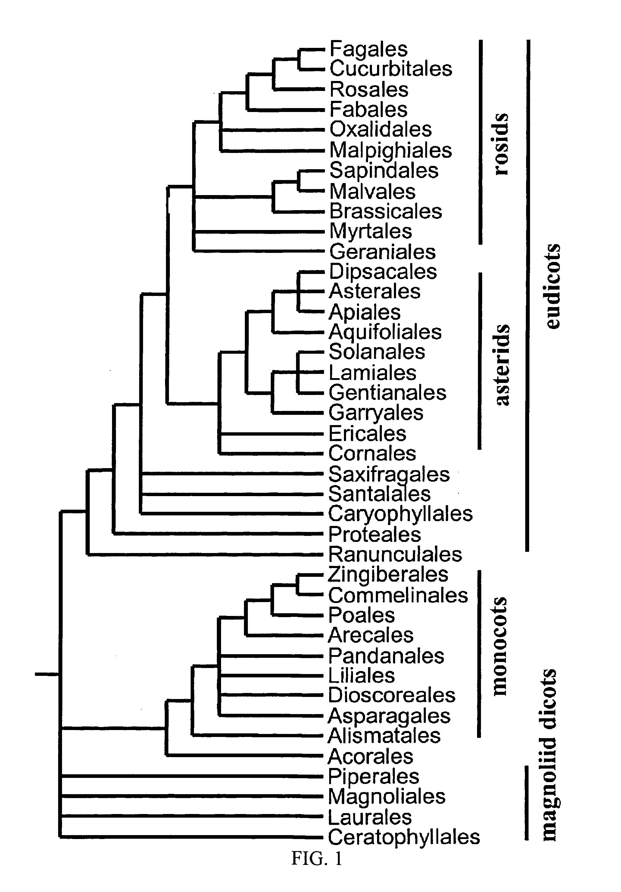 Biotic and abiotic stress tolerance in plants