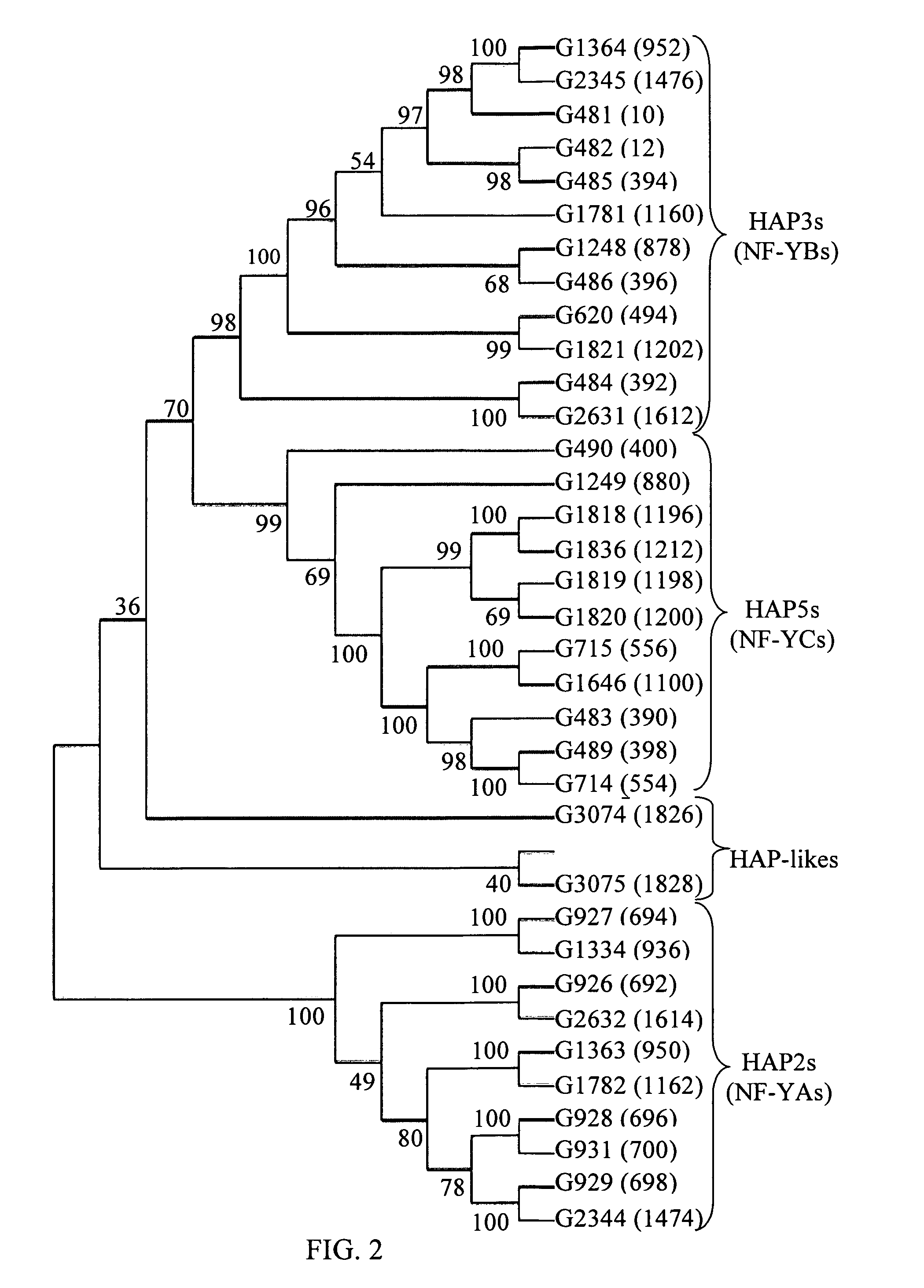 Biotic and abiotic stress tolerance in plants