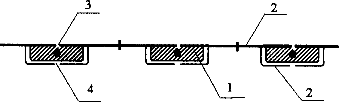 Plant seed composite nutrient membrane planting technique