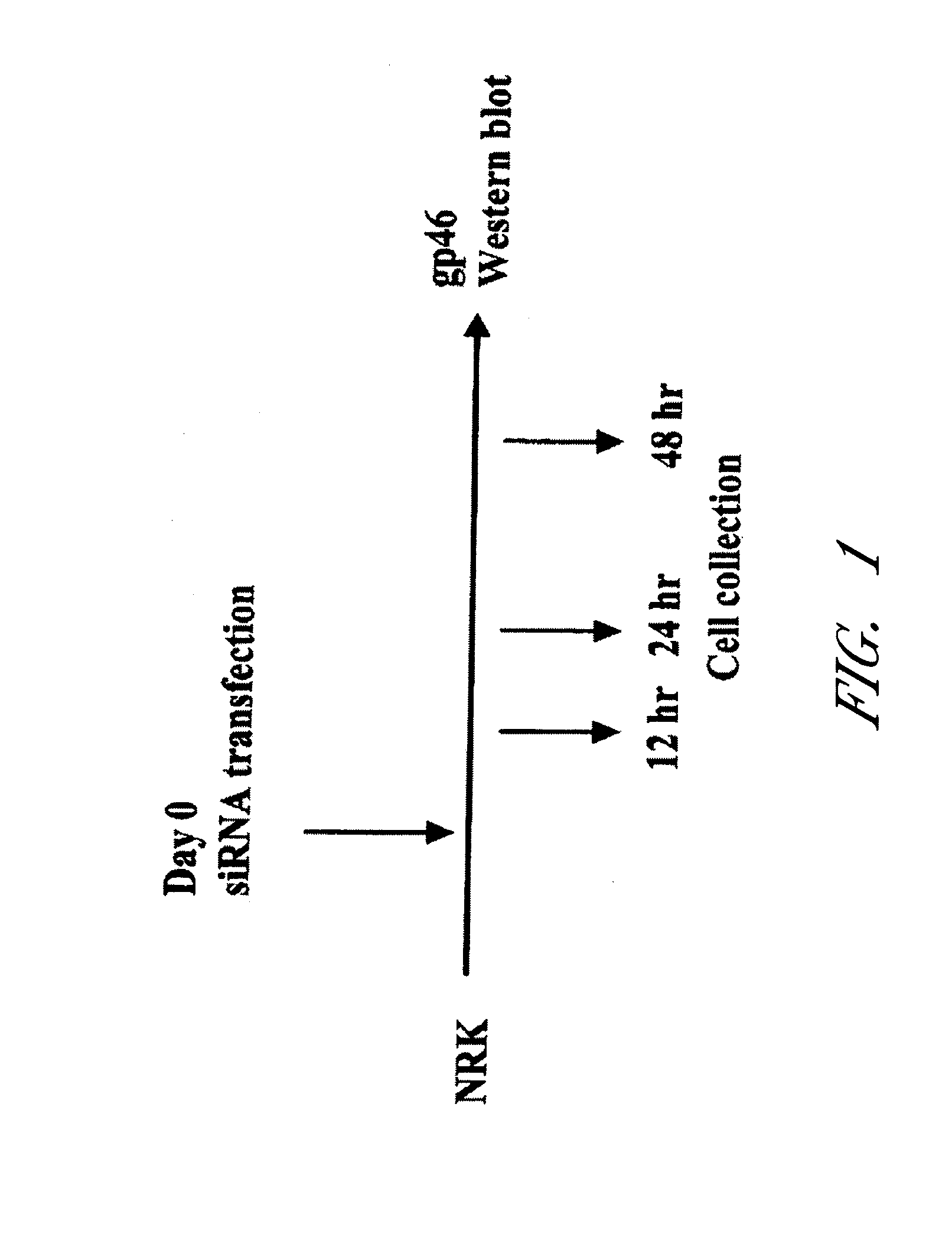 Drug carrier and drug carrier kit for inhibiting fibrosis