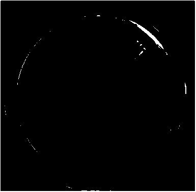 Lignocellulose degrading complex bacterium system and application