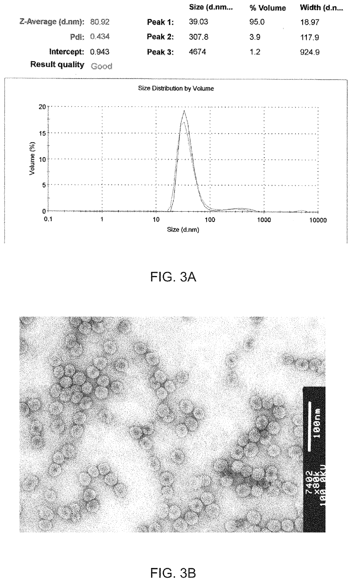 Modified virus-like particles of CMV