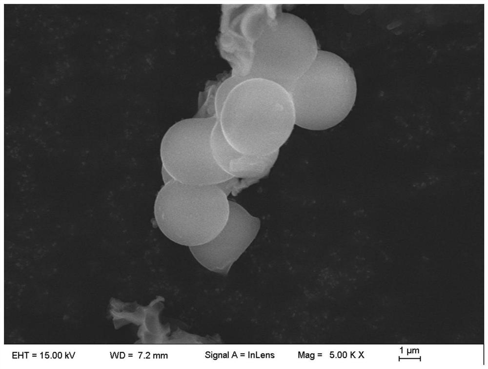 Antibacterial and anti-ultraviolet thermosensitive color-changing wax tempera paint and preparation method thereof