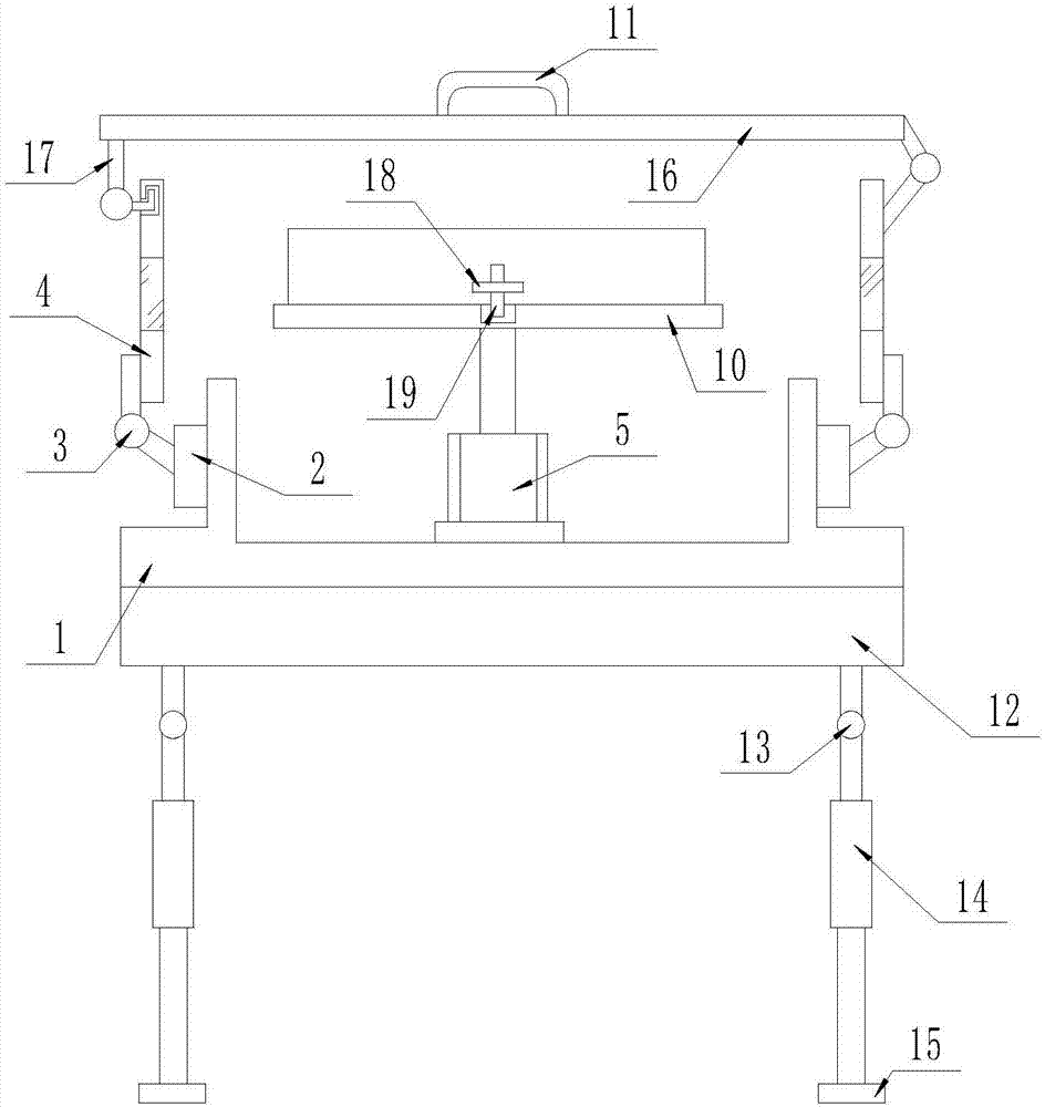 Outdoor selenium detection device with mobile support function