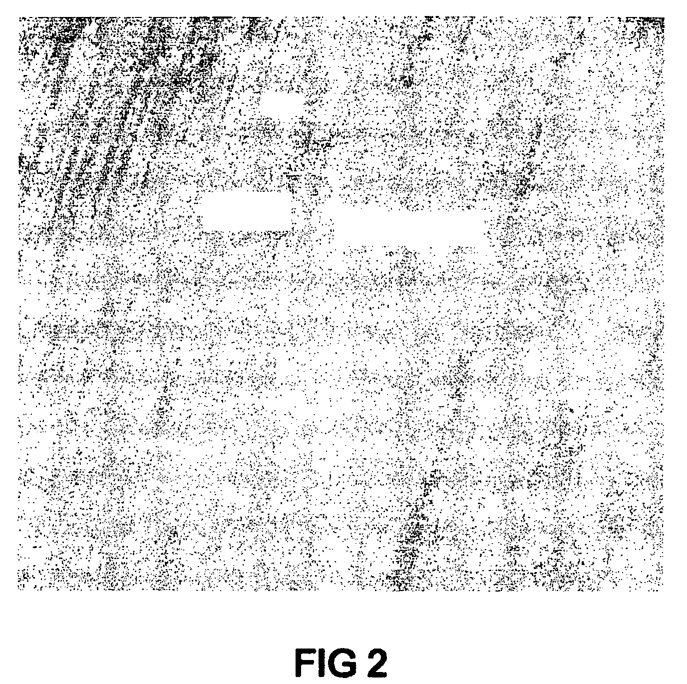 Titanium nitride thin film formation on metal substrate by chemical vapor deposition in a magnetized sheet plasma source