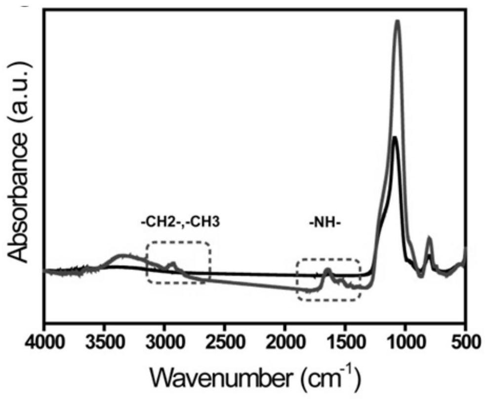 Glycopeptide-enriched polymer material as well as preparation and application thereof