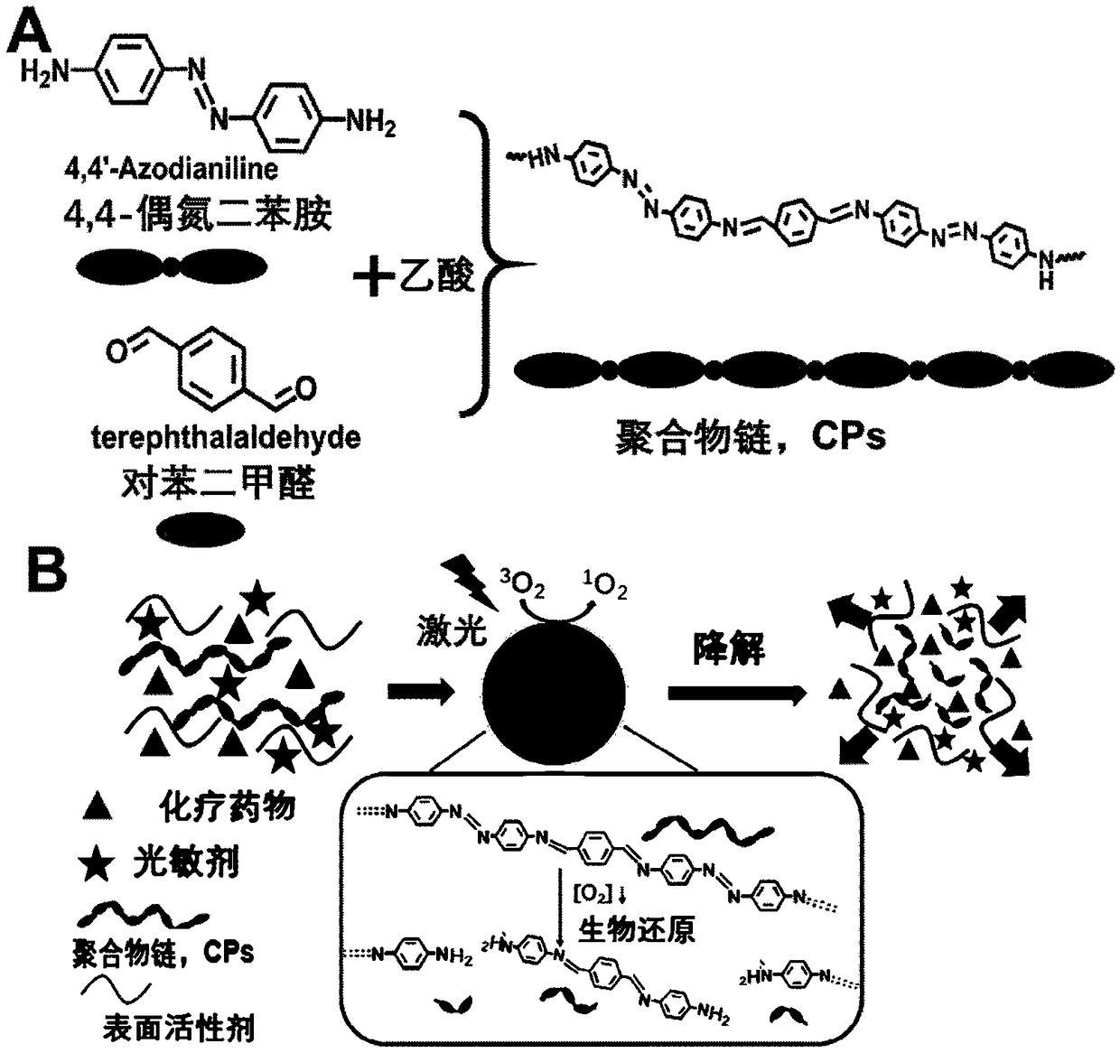 Hypoxia response polymer nanoparticle and application thereof