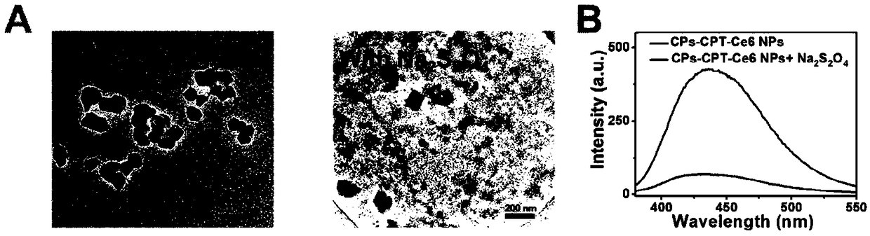 Hypoxia response polymer nanoparticle and application thereof