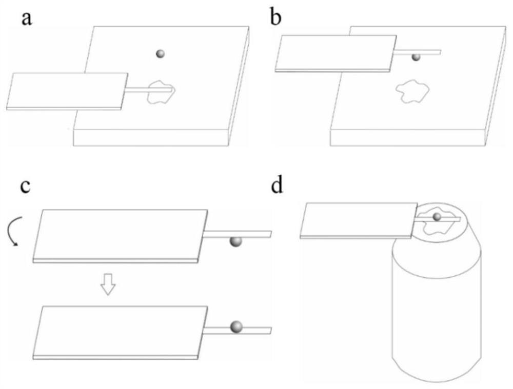 A preparation method of microsphere probe based on microcantilever transfer