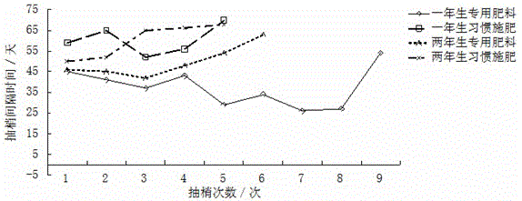 Special formula fertilizer for lemon young trees and preparation method thereof