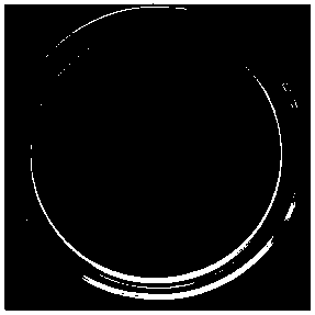 Enterobacter sakazakii phage EspYZU05 and purpose thereof