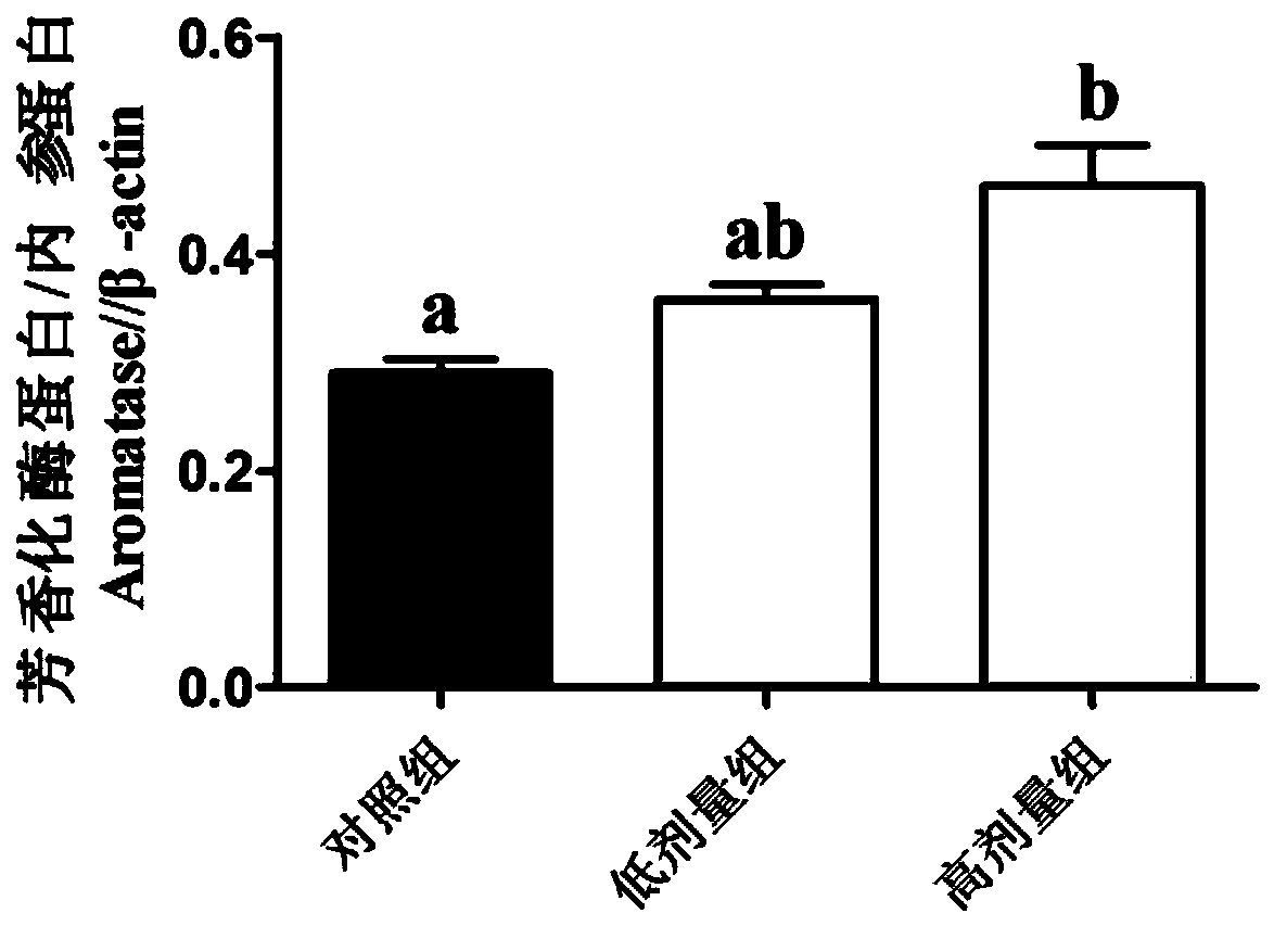 Feed additive for promoting ovarian development and egg yolk generation of river crabs as well as preparation method and application thereof