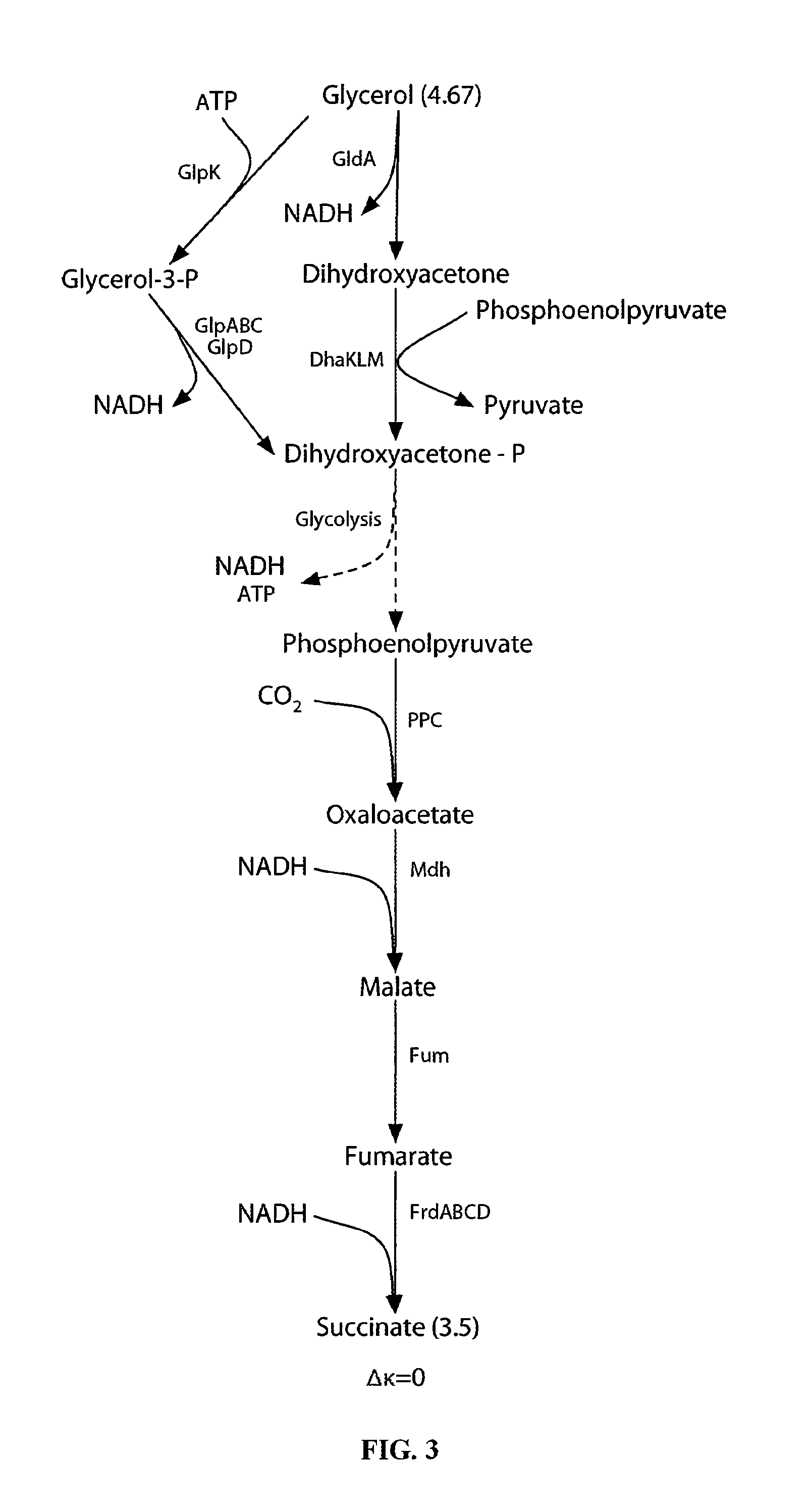 Microaerobic cultures for converting glycerol to chemicals