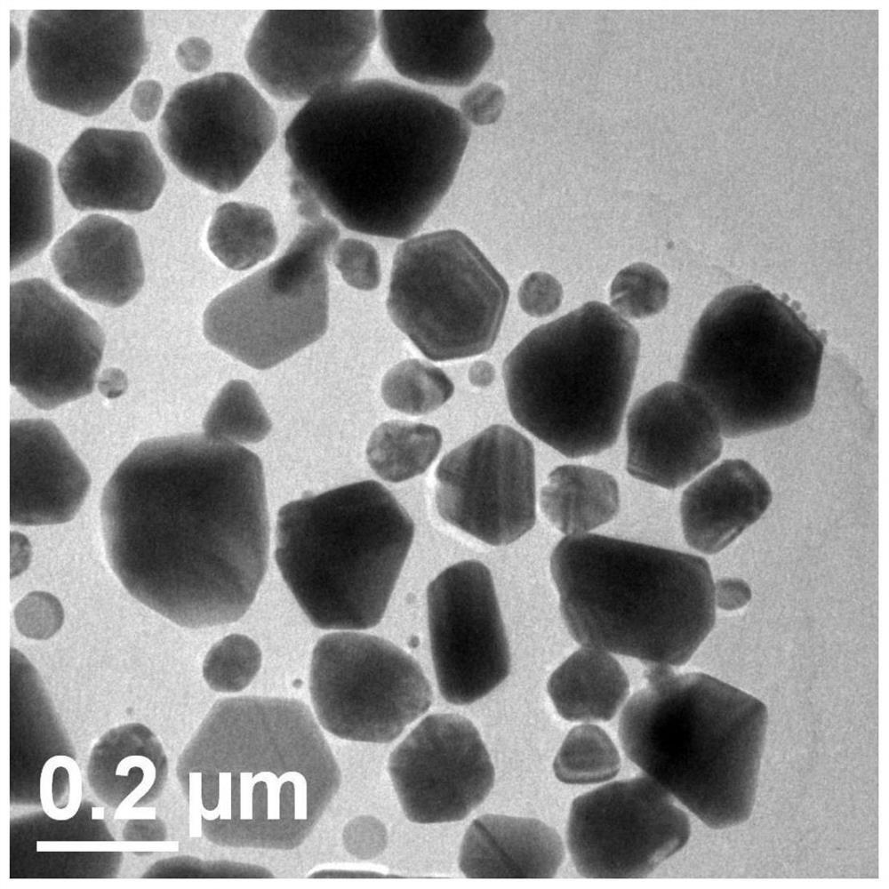 Tremella-shaped carbon-coated nano-silver material as well as preparation method and application thereof