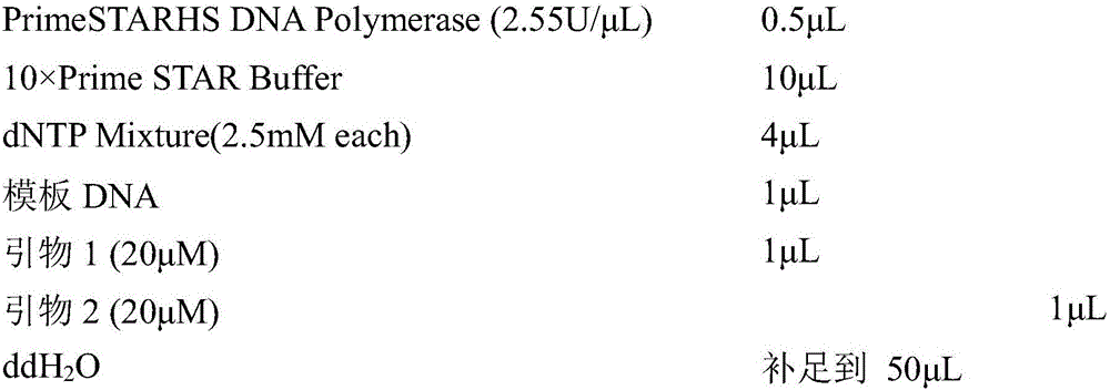 Esterase and applications thereof