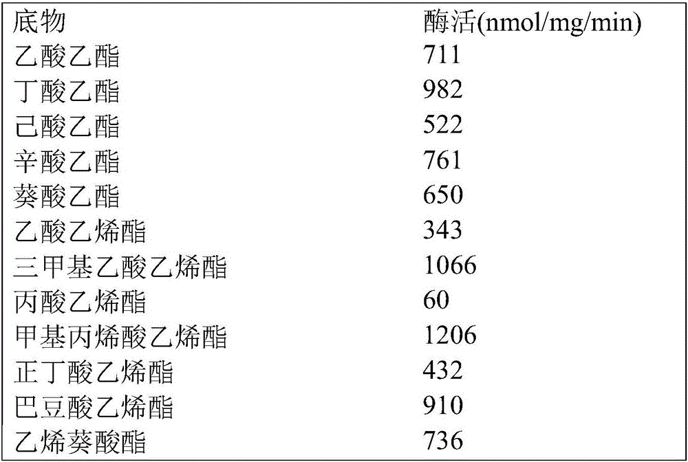 Esterase and applications thereof