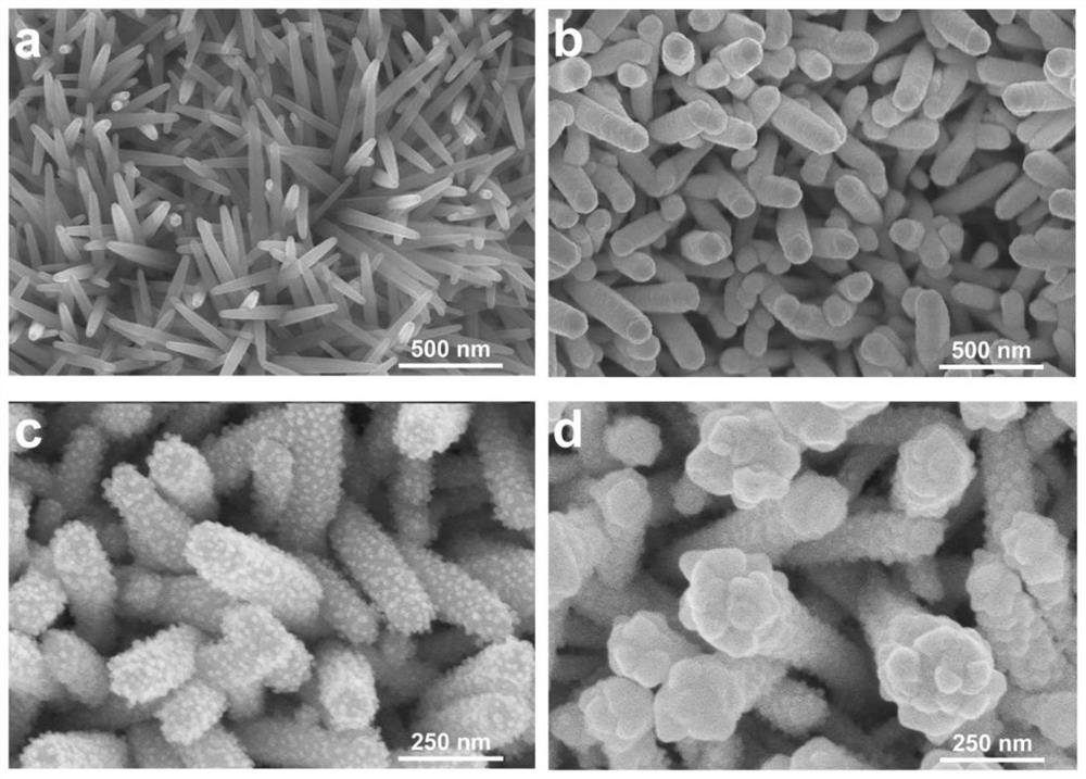 Three-dimensional flexible SERS (Surface Enhanced Raman Scattering) substrate and putrescine and cadaverine detection method based on substrate