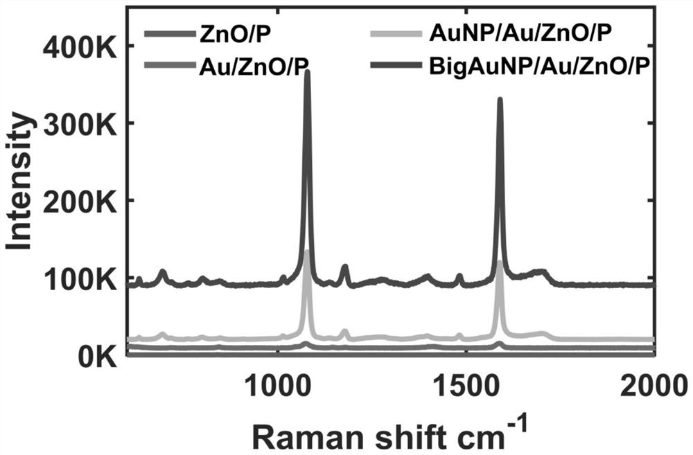 Three-dimensional flexible SERS (Surface Enhanced Raman Scattering) substrate and putrescine and cadaverine detection method based on substrate