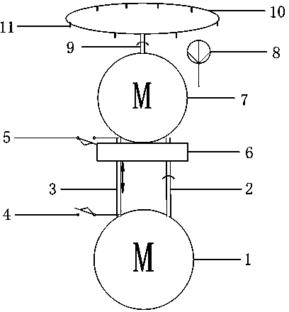 Wet pulp sample placement apparatus and control method thereof