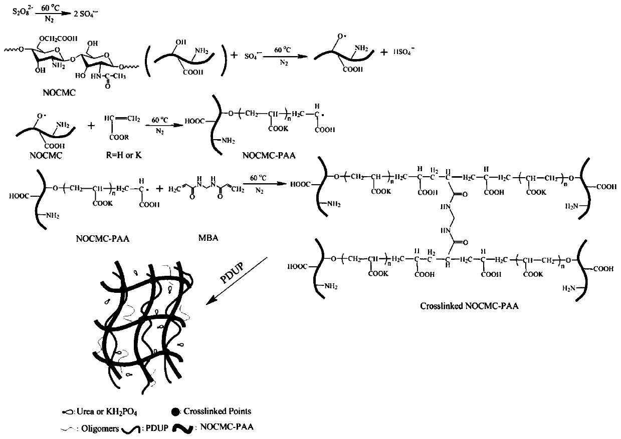 Novel water-retaining slow-release nitrogen-phosphorus-potassium fertilizer and preparation method thereof