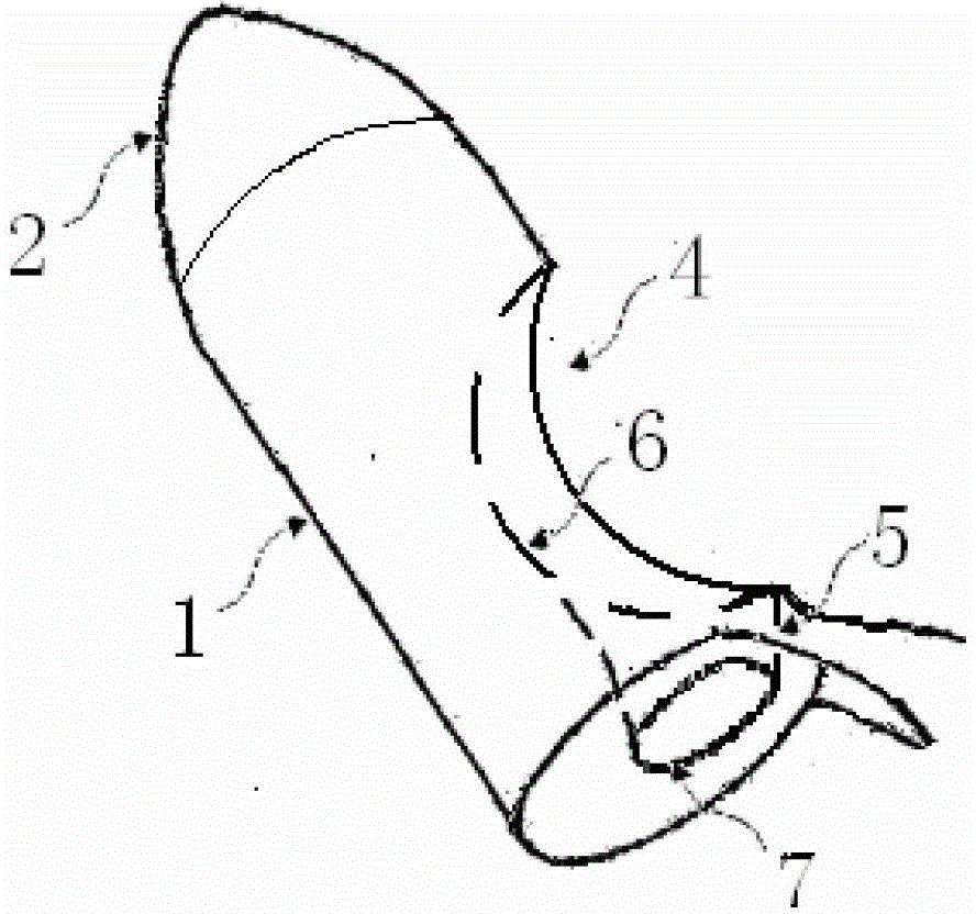 Injection anoscope for internal hemorrhoid