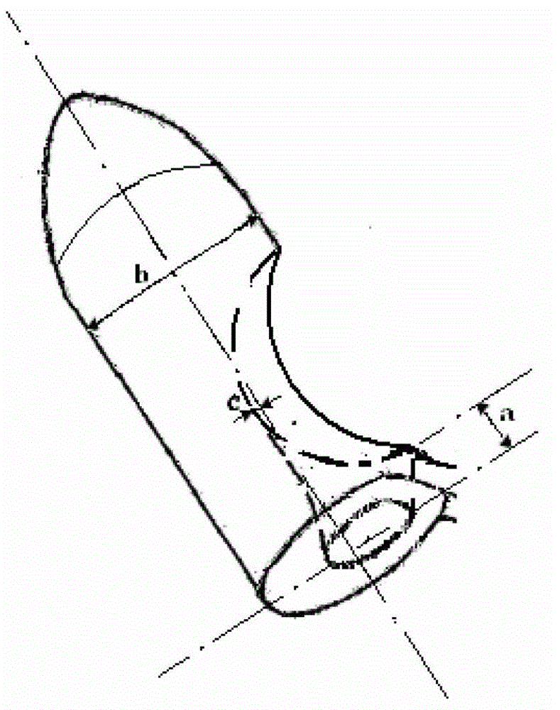 Injection anoscope for internal hemorrhoid