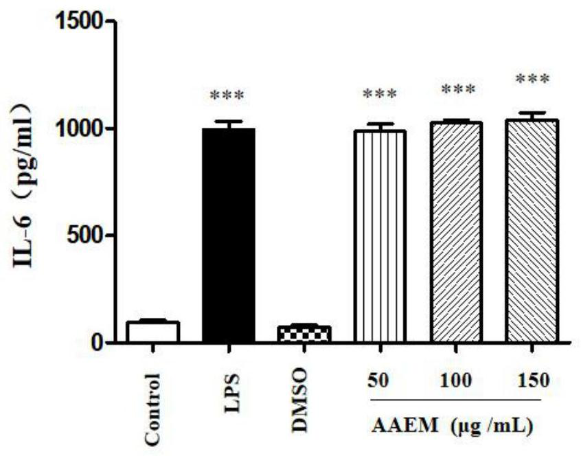 Artemisia lindleyana alcohol extract as well as extraction method and application thereof