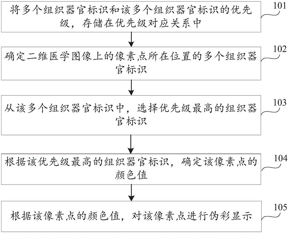 Two-dimensional medical image tissue and organ pseudo color display method and device