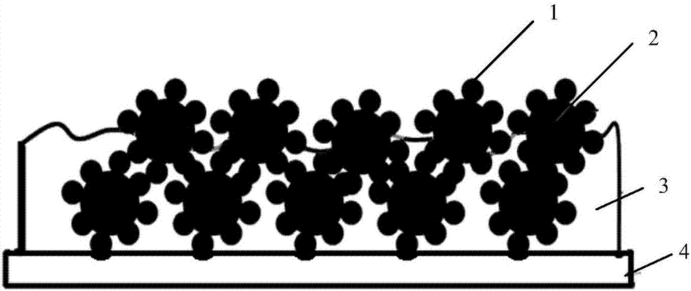 Super-hydrophilic, self-cleaning and antifogging coating and preparation method thereof