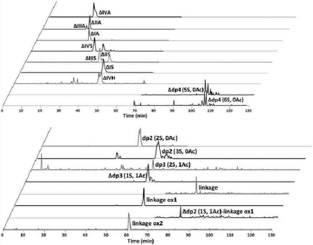 Chromatography-mass spectrometry detection method for electrophoresis hydrophilic interaction of sulodexide