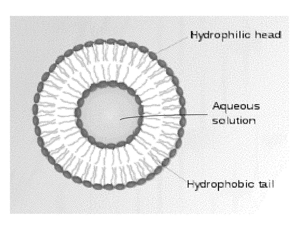 Cannabinoid formulation including a vasodilator and ocular delivery of the same