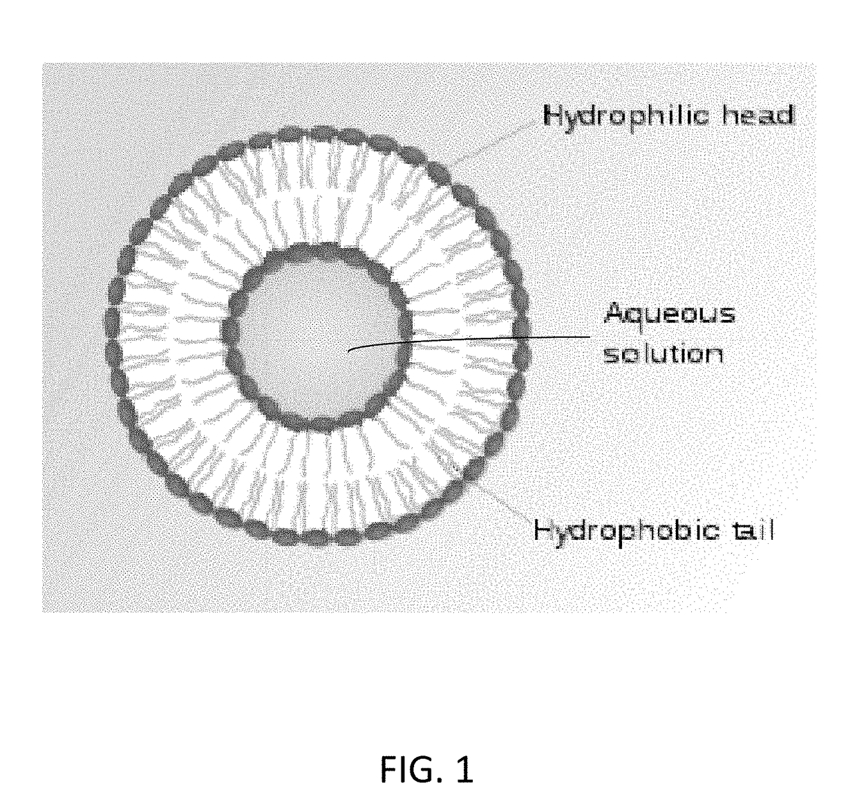 Cannabinoid formulation including a vasodilator and ocular delivery of the same