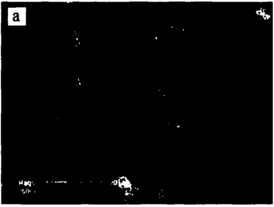 Method for preparing spherical CaAl2O4:Eu,Nd luminescent powder