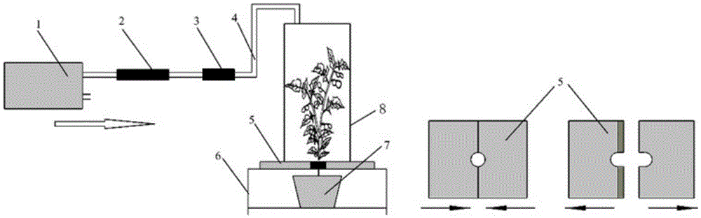 Method for fast predicting injurious insect invading degree of tea trees based on electronic nose