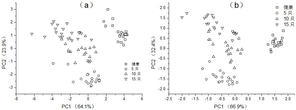 Method for fast predicting injurious insect invading degree of tea trees based on electronic nose