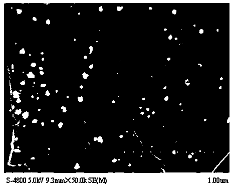 Preparation method for titanium dioxide-graphene/screen-printed electrode for detecting parachlorophenol