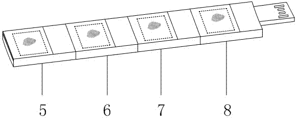 Fingerprint recognition USB flash disk