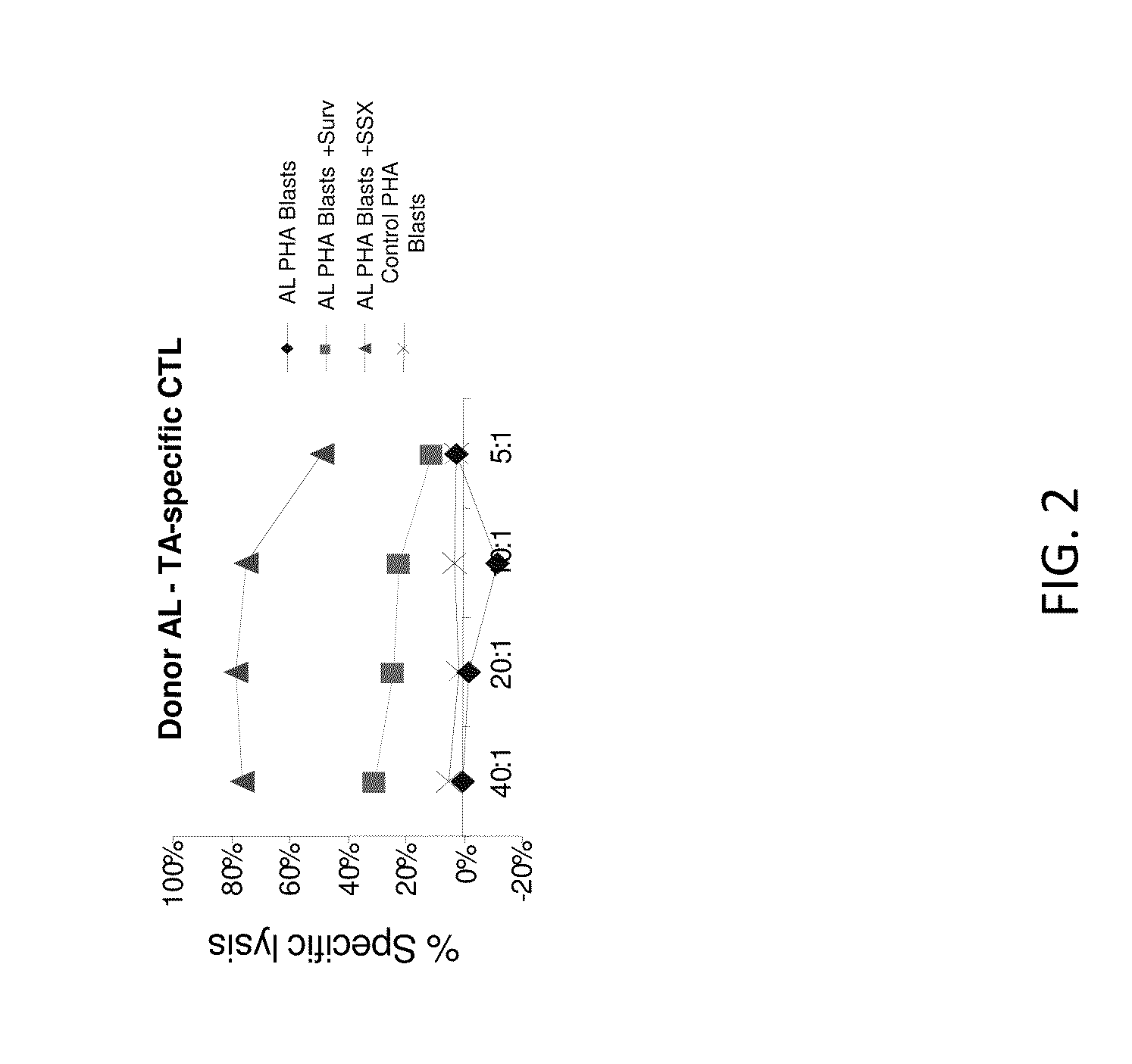 Generation of ctl lines with specificity against multiple tumor antigens or multiple viruses