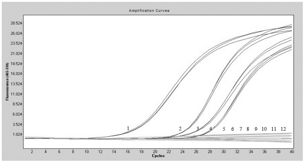 Detection method for foot and mouth disease virus in aerosol and kit