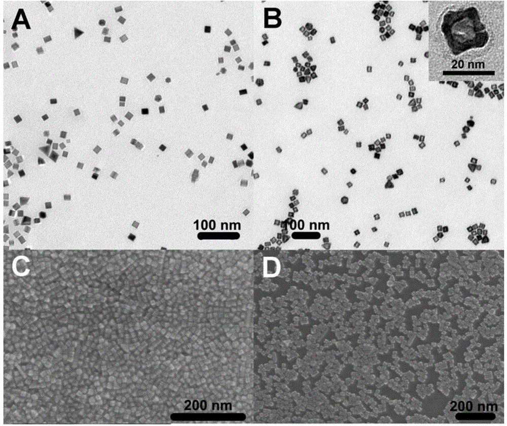 Platinum nanocage immune probe and preparation method thereof and application thereof in preparing electrochemical immunosensor