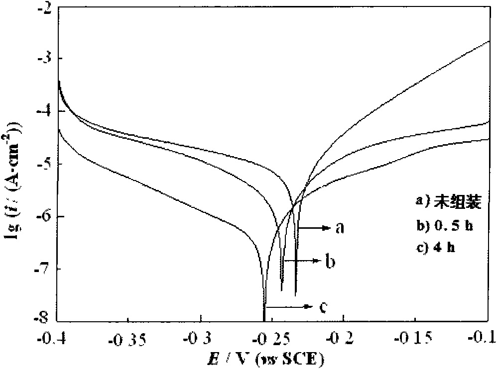 Method for forming self-assembly inhibitory film on surface of copper electrode