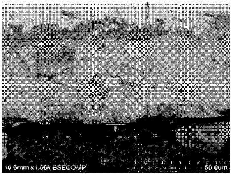 Control method for coast atmospheric corrosion resistant scale on surface of boat deck