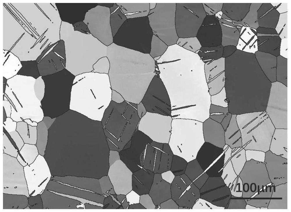 Processing method for improving high-temperature creep properties of magnesium alloys by rolling and pre-compression