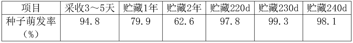 Rapid seedling raising method of Codonopsis pilosula seeds with high germination rate