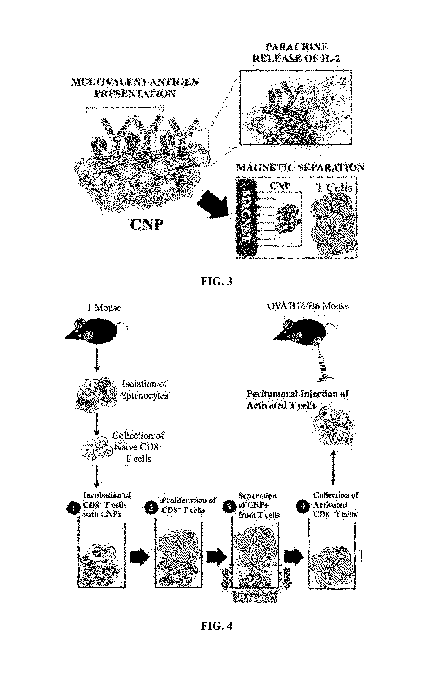 Carbon nanotube compositions and methods of use thereof