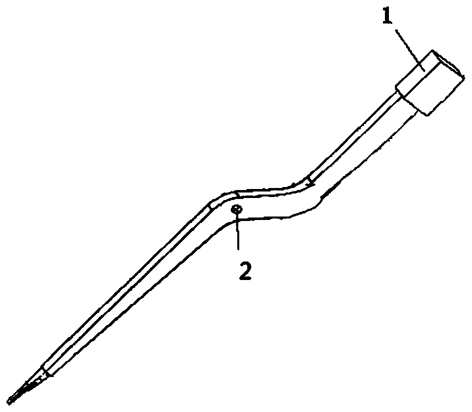 Bipolar electric coagulation forceps of brain model for experimental animal and preparation method of bipolar electric coagulation forceps