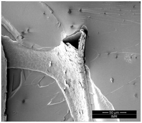 A kind of preparation method of graphene damping composite material