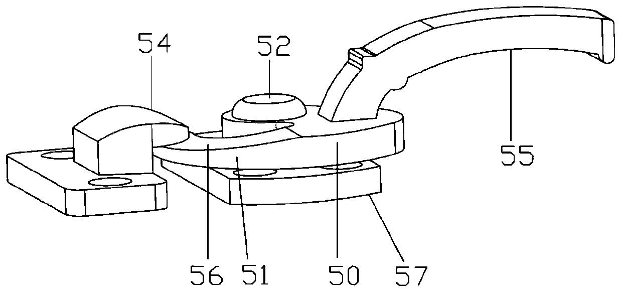 Biosafety transfer bin used for living animal fluorescence imaging