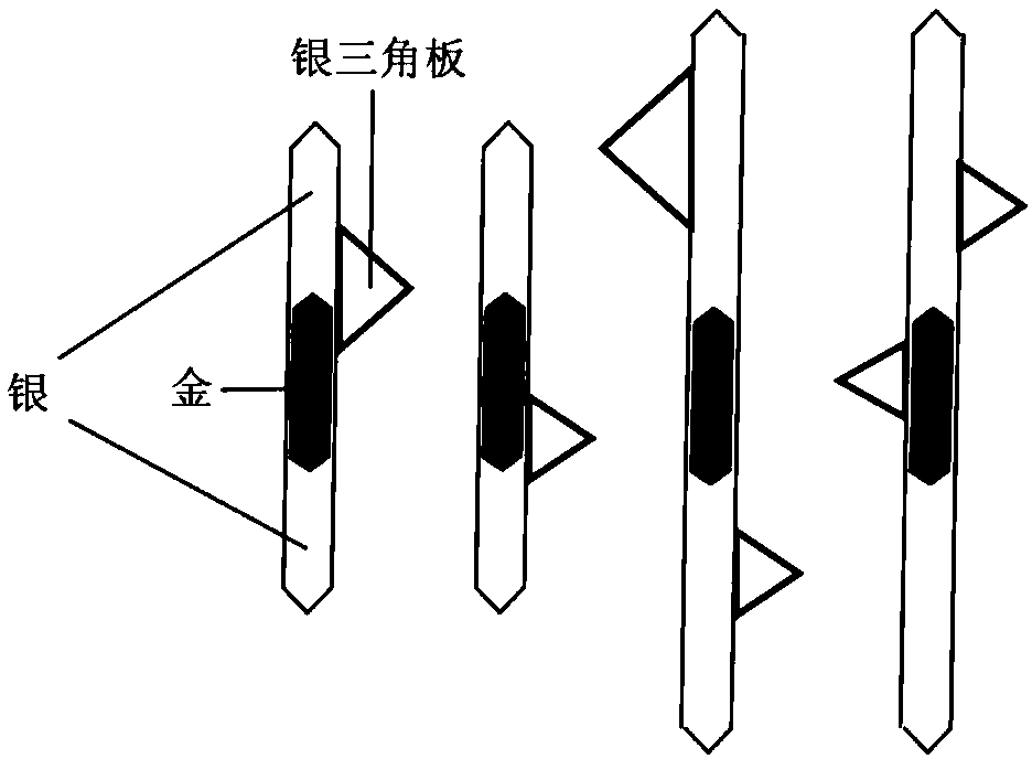 Large-scale controllable preparation method of surface plasmon nanonail structure